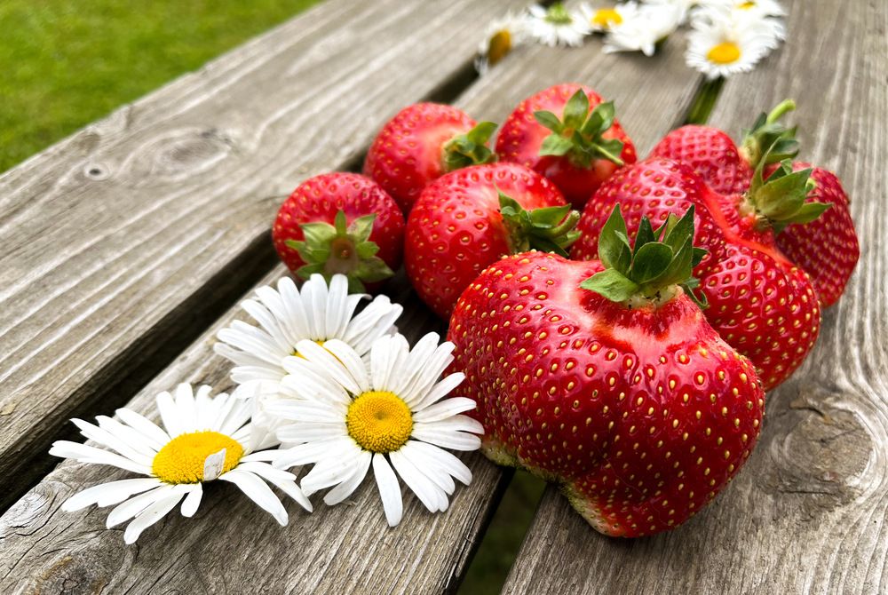 Фотография автора Irina Ginbert