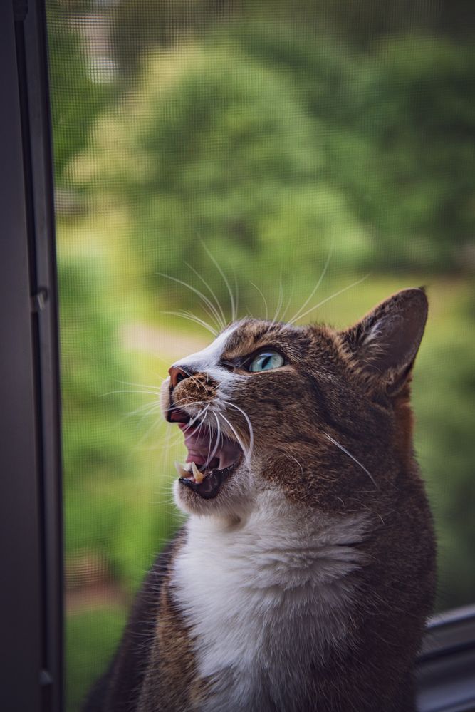 Photograph by Виктория Павлюк