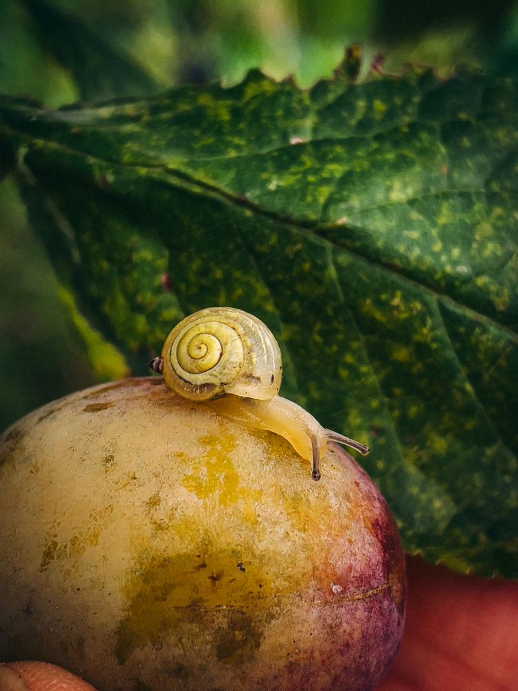 Photograph by Кристина Иванова