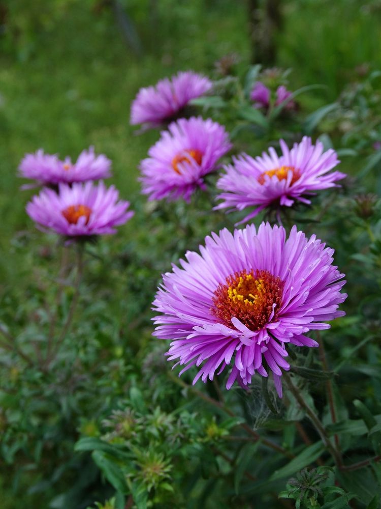 Photograph by Мария Широких