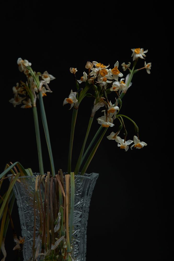 Photograph by Changiz Jalayer