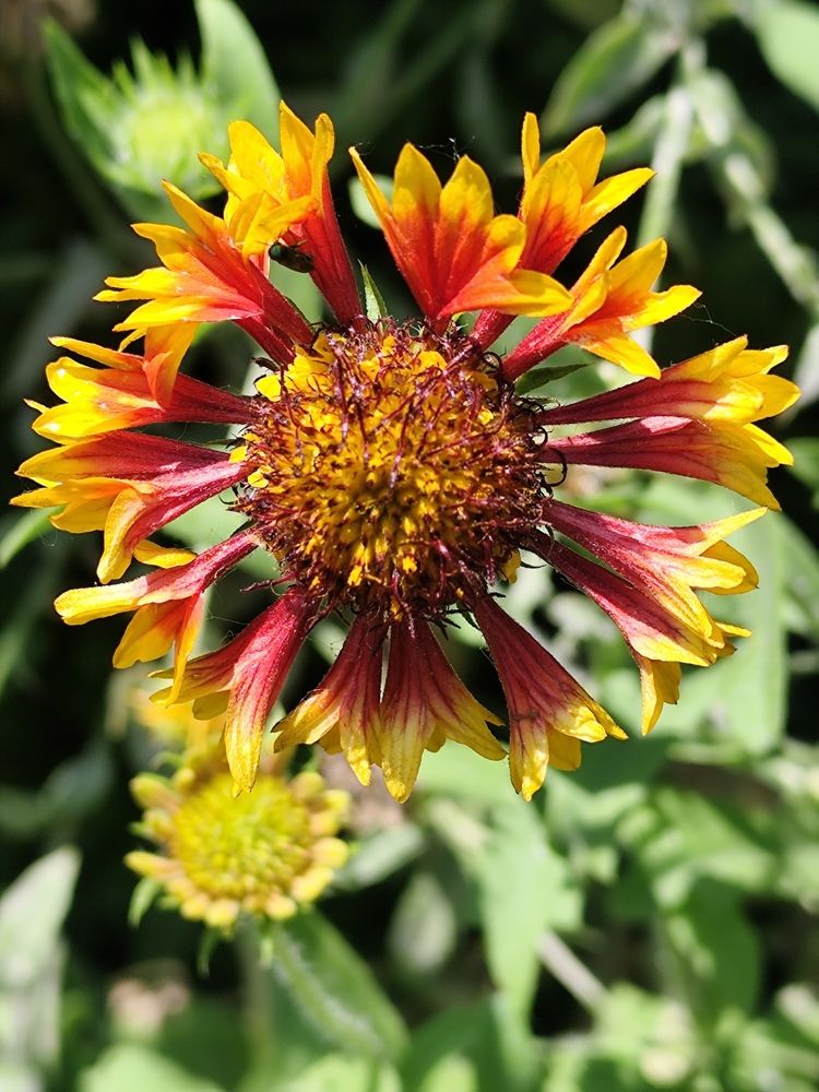 Photograph by Rehana