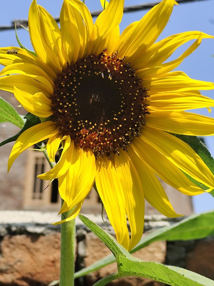 Photograph by Rehana