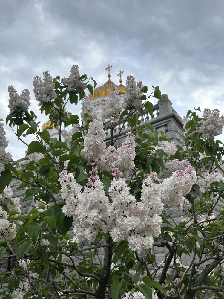 Photograph by Светлана Колышева