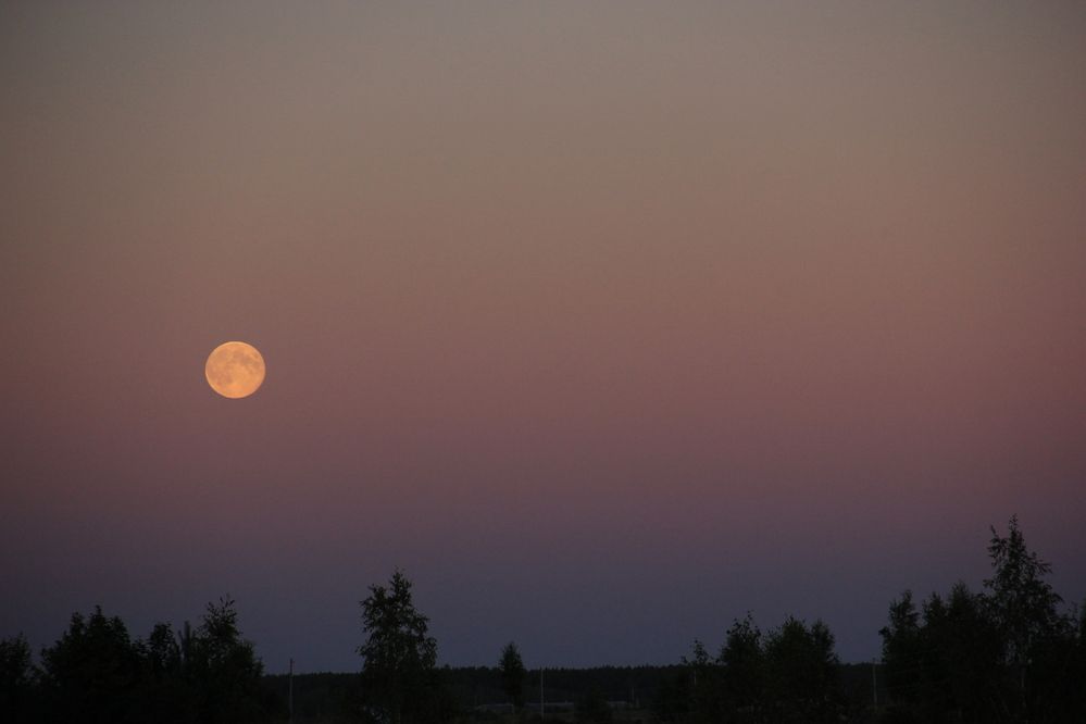 Photograph by Волкова Владимира