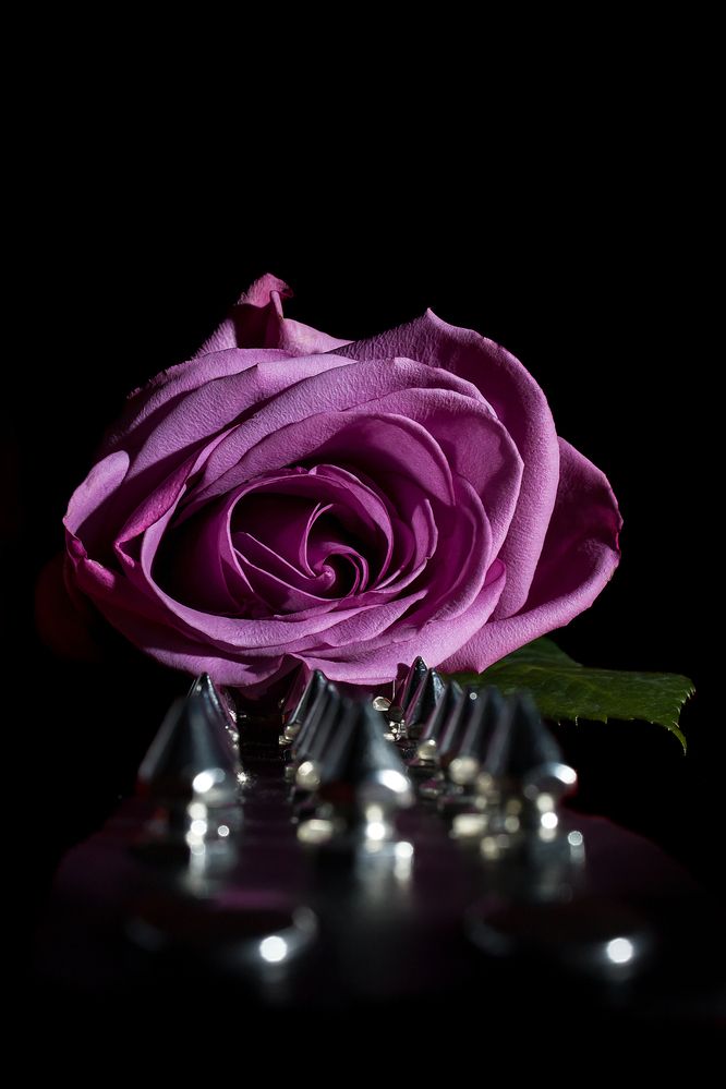 Photograph by Андрей Городецкий