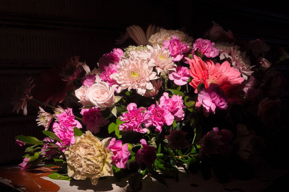 Фотография автора Camilo Rojas