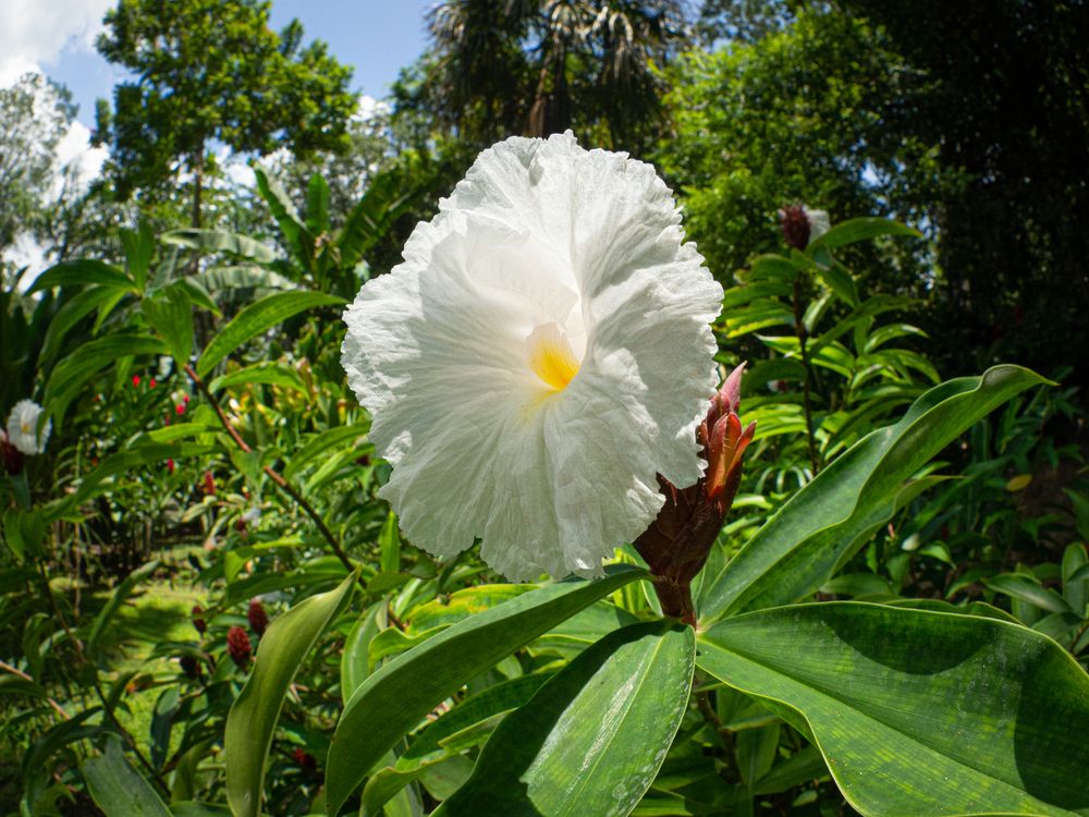 Фотография автора Camilo Rojas