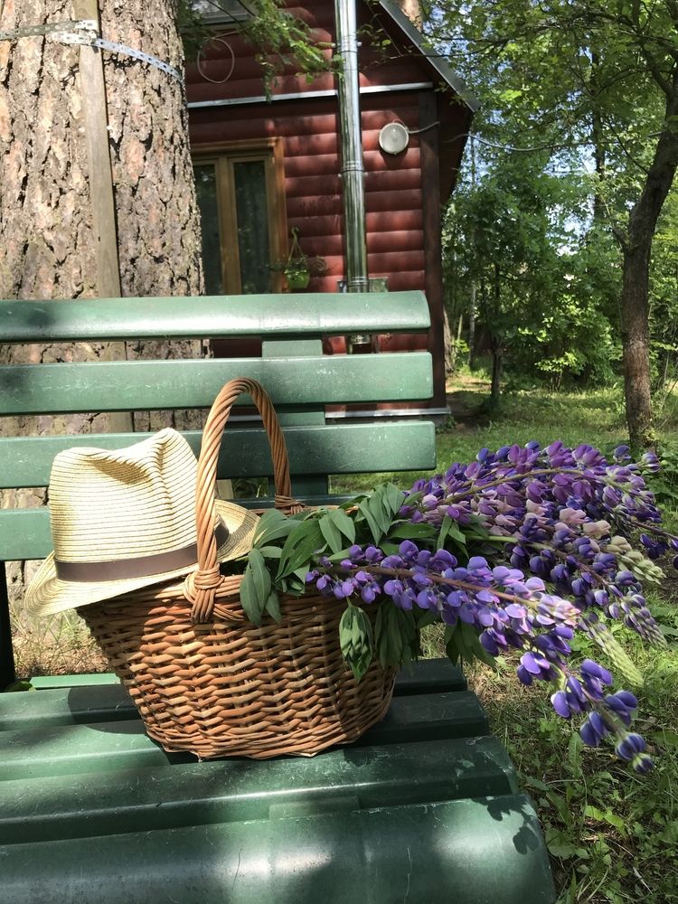 Photograph by Надежда Ткаченко