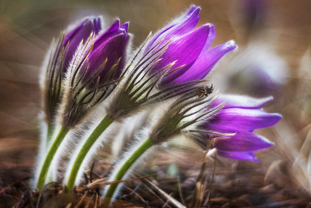 Фотография автора Владислав Храмцов