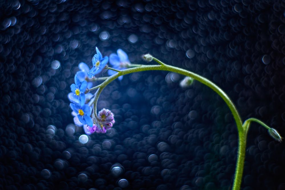 Photograph by Владислав Храмцов