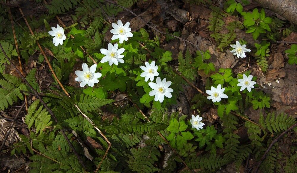 Photograph by Алексей Трухин