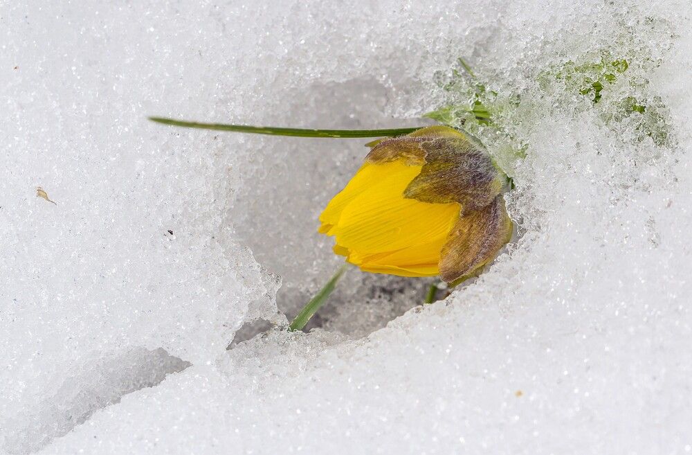 Photograph by Алексей Трухин