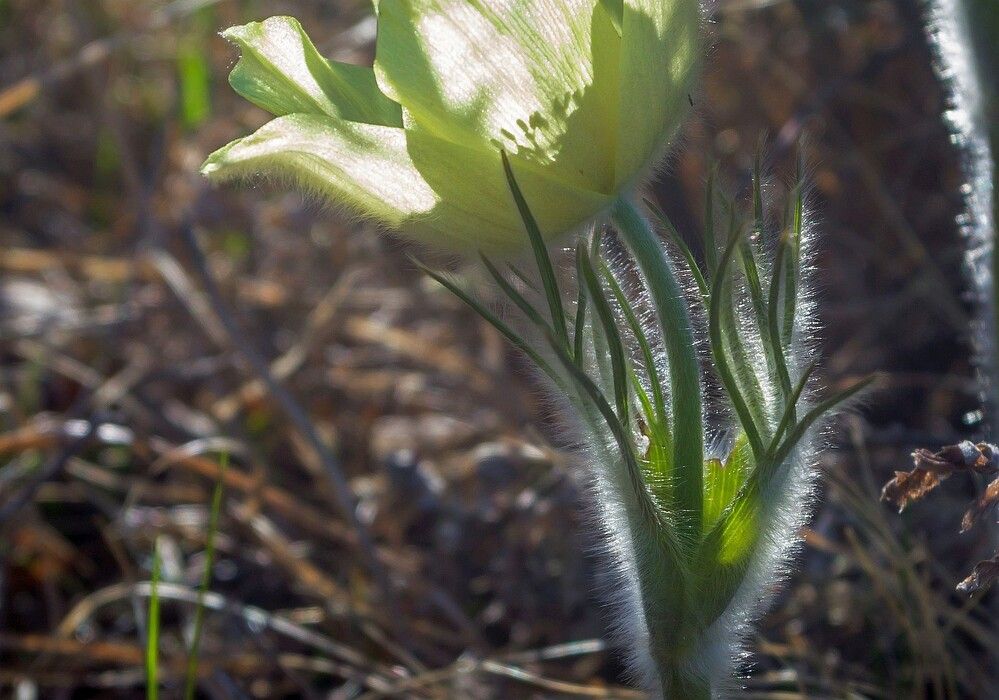Photograph by Алексей Трухин