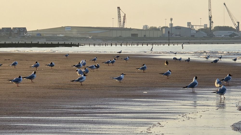 Photograph by Ekaterina Kozlova