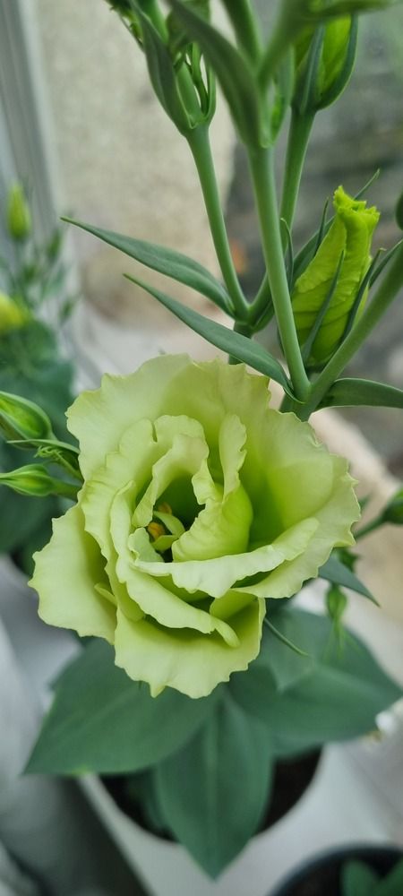 Photograph by Ольга Афанасьева