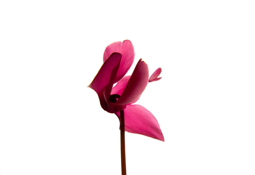 Photograph by Наталия Любимова