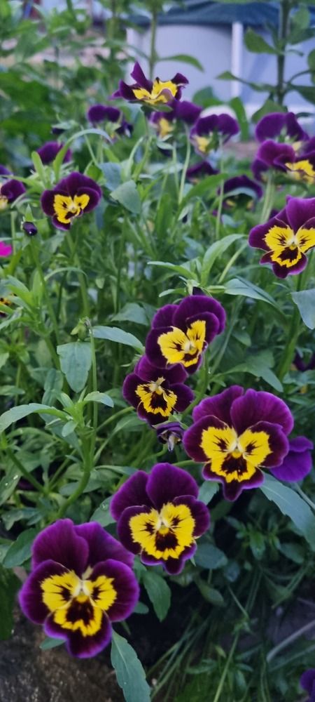 Photograph by Ольга Афанасьева