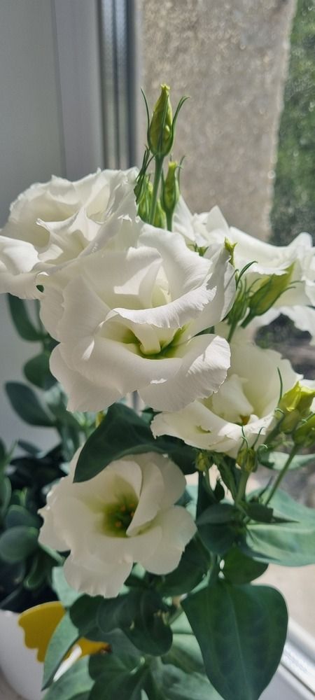 Photograph by Ольга Афанасьева