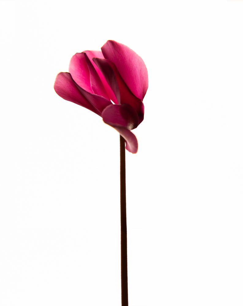 Photograph by Наталия Любимова