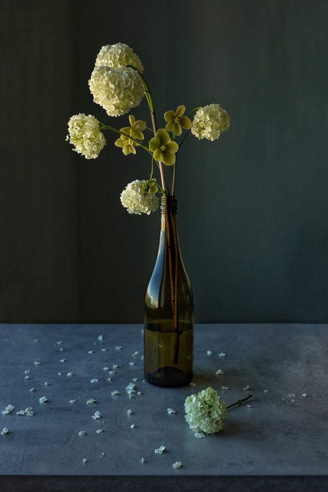 Фотография автора Alina Efimova