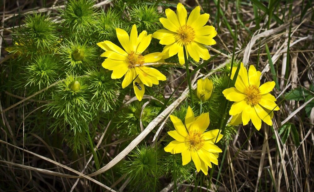 Photograph by Алексей Трухин