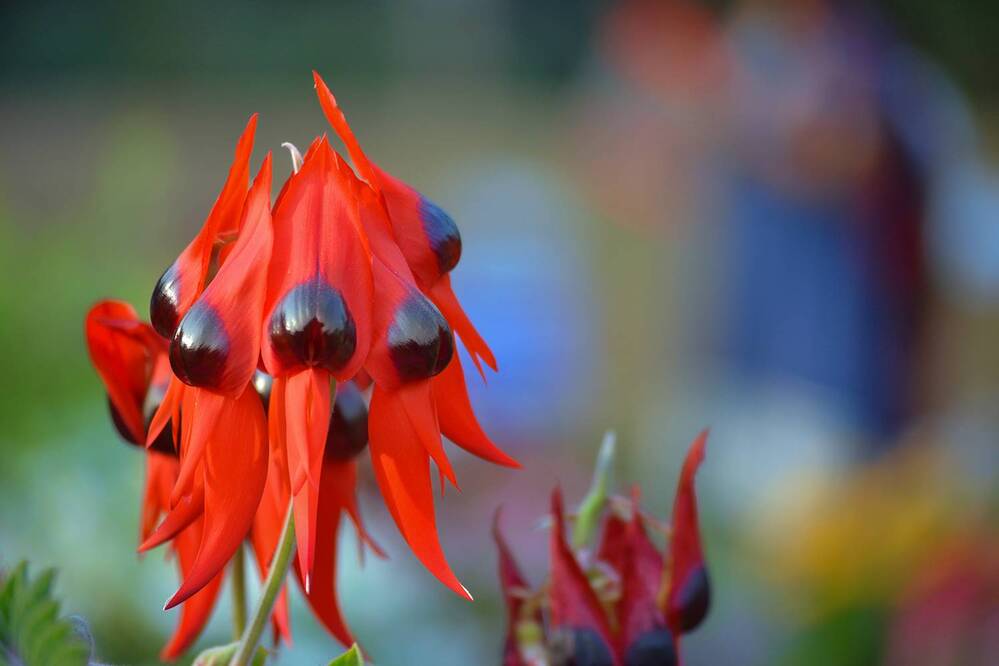 Photograph by Santanu Datta