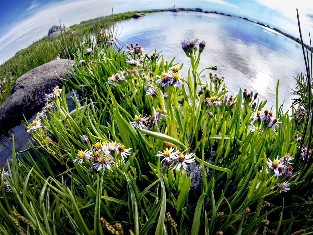 Photograph by Иван Труфанов