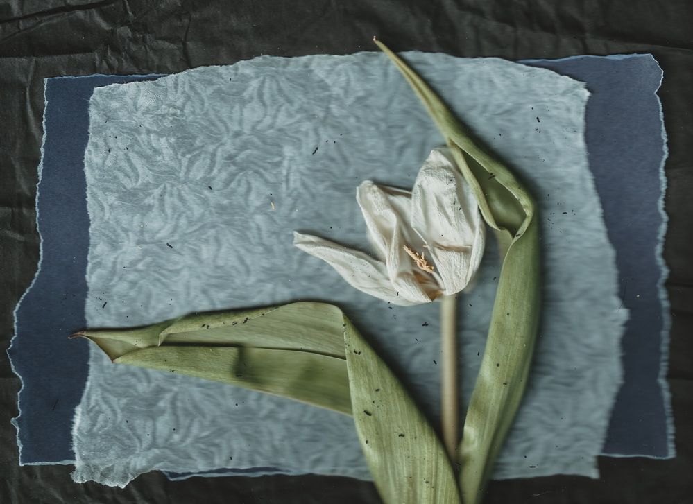 Photograph by Lera Zilbershtein