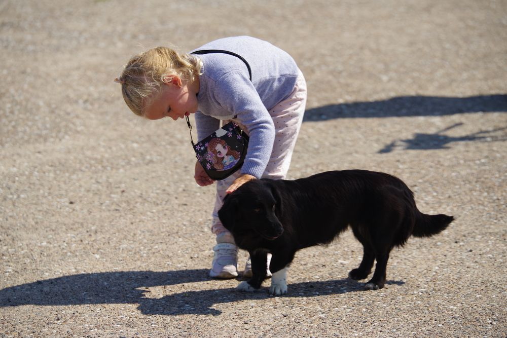 Photograph by Андрей Корытов