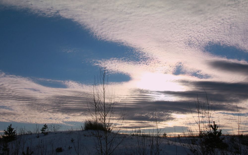 Photograph by Nelya  Lysenko