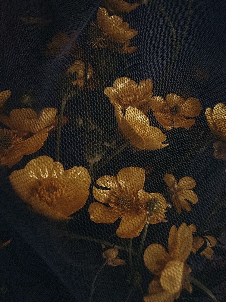 Фотография автора Галина Шиманцова