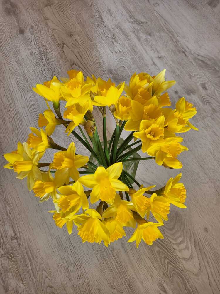 Photograph by Raitis Miksons