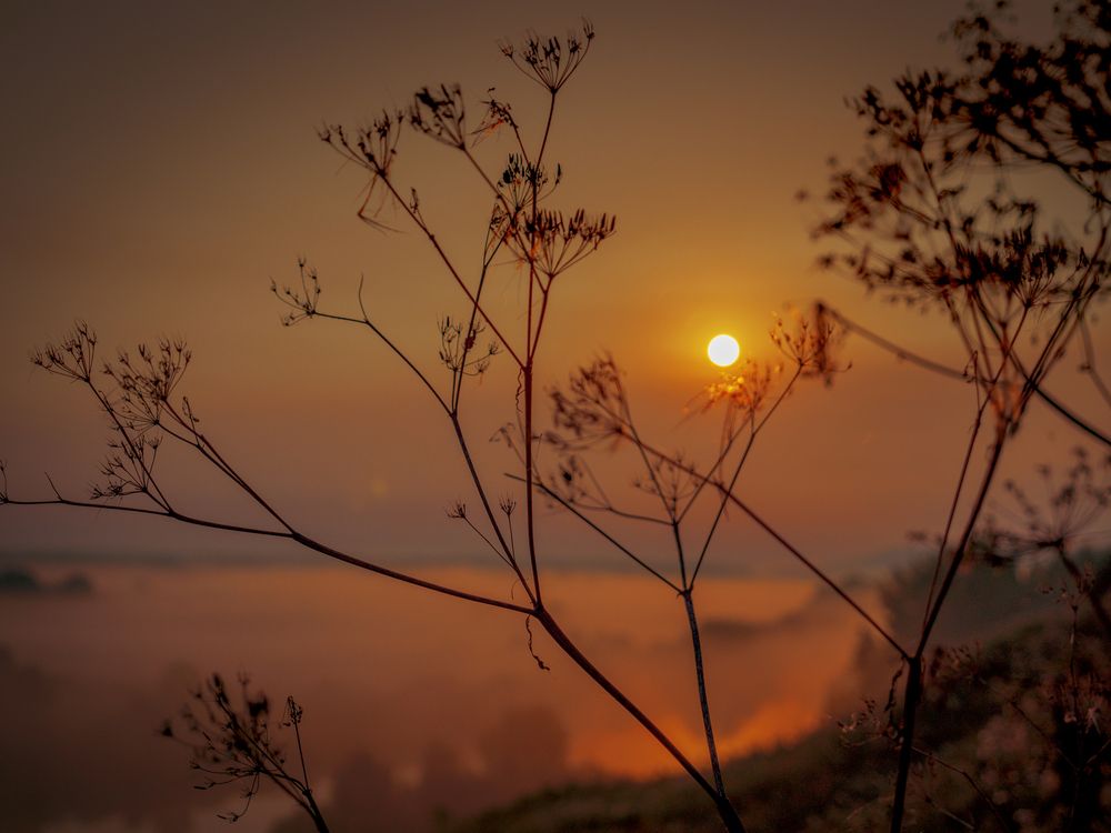 Photograph by Иван Труфанов