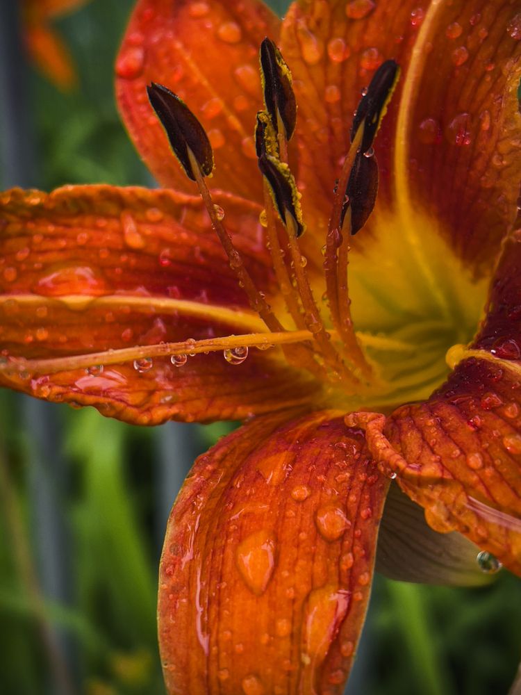 Photograph by Кристина