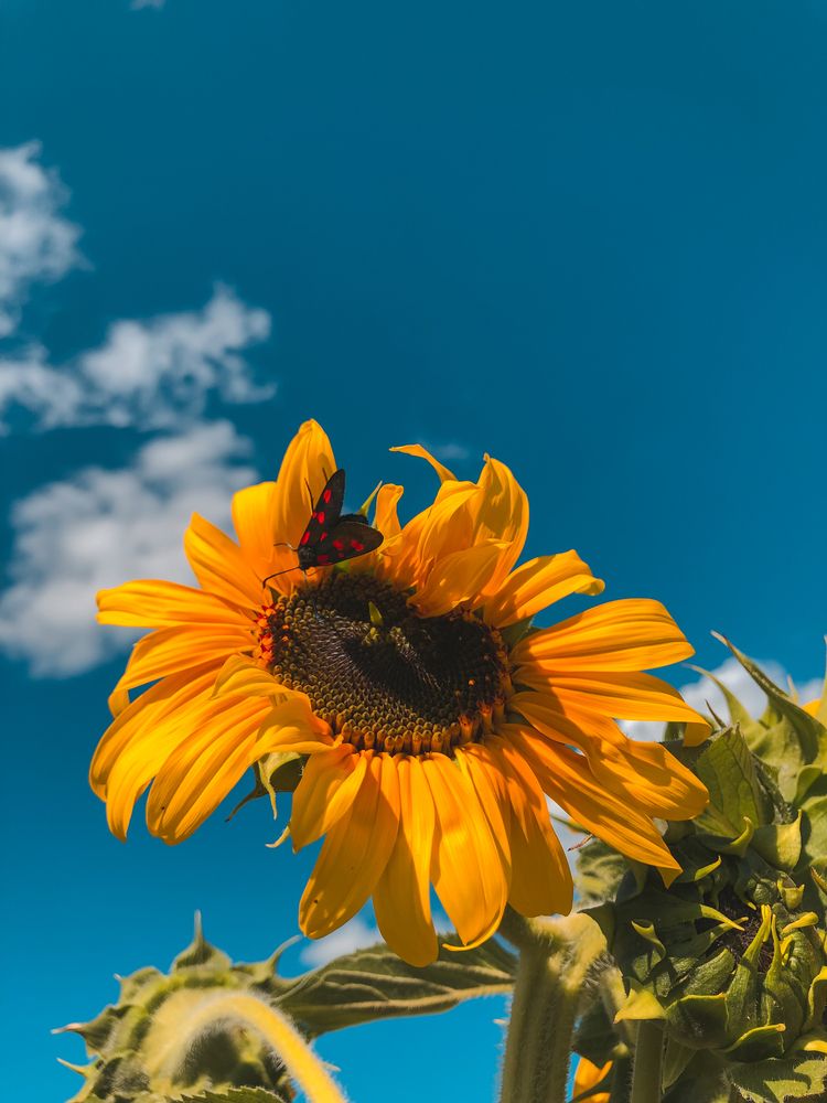 Photograph by Кристина