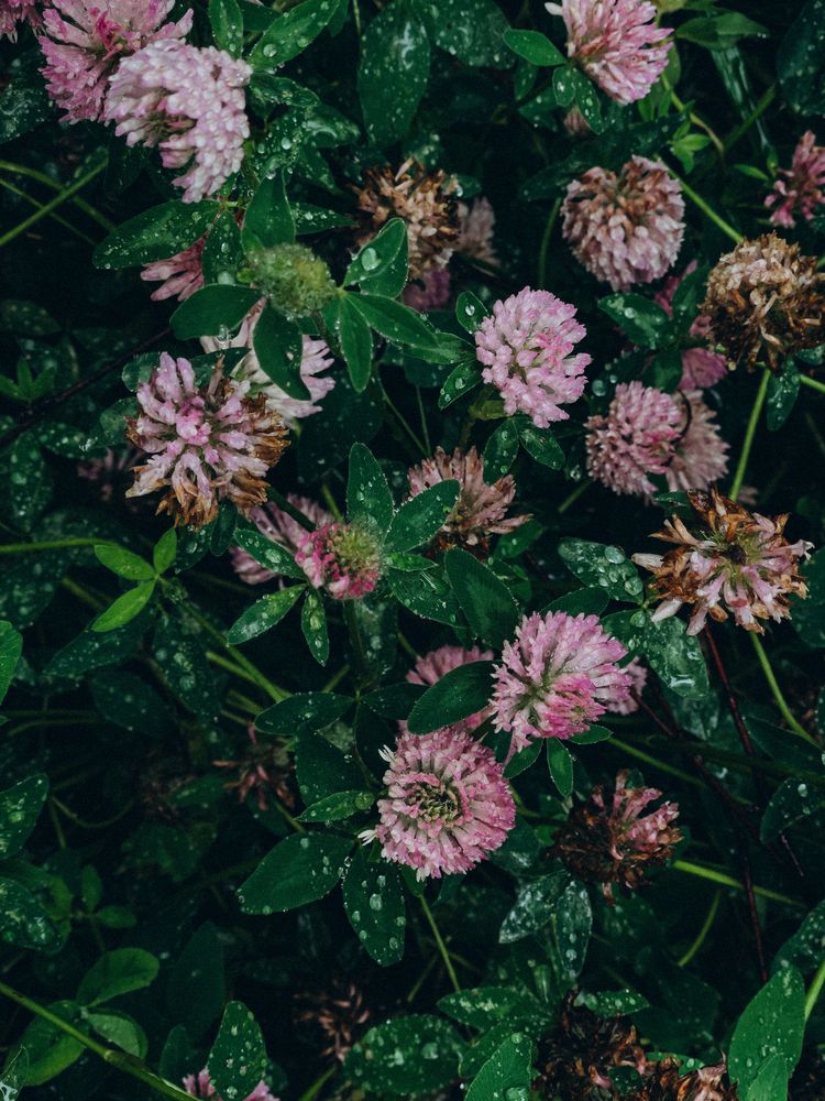 Photograph by Кристина