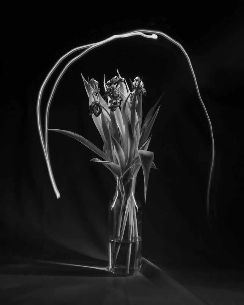 Photograph by Lera Zilbershtein