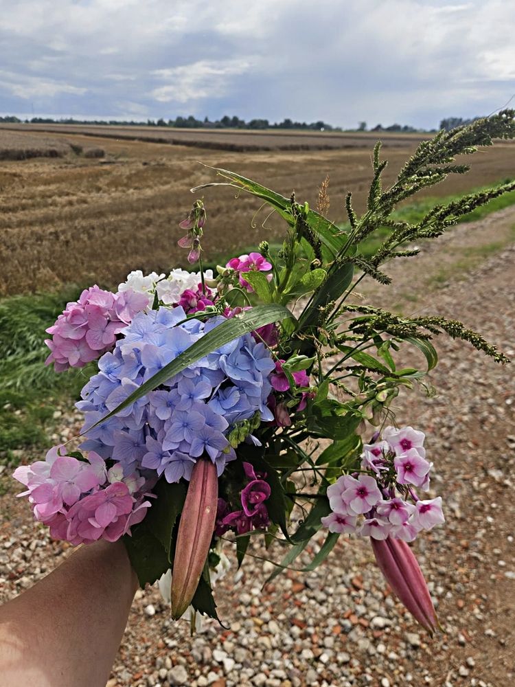 Photograph by Raitis Miksons