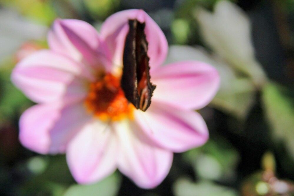 Photograph by Raitis Miksons