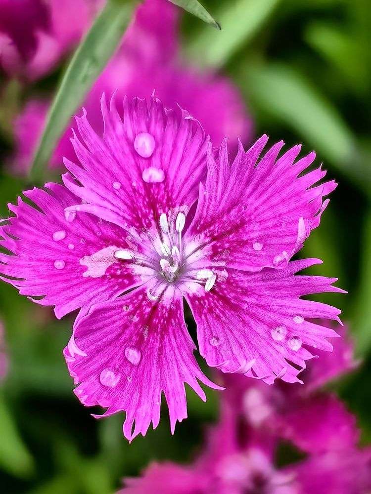 Photograph by Алексей Швайка