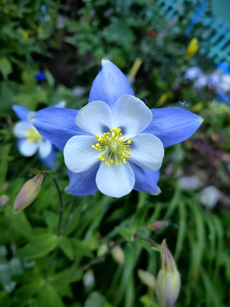 Photograph by Алексей Швайка