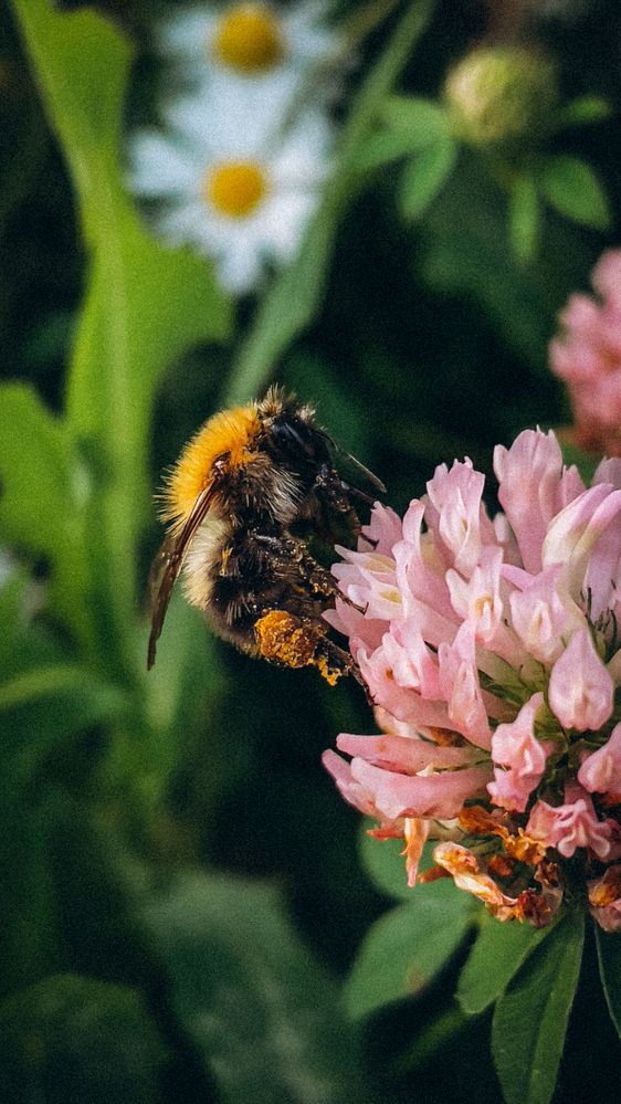 Photograph by Кристина