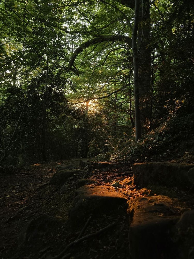 Photograph by Ekaterina Kozlova