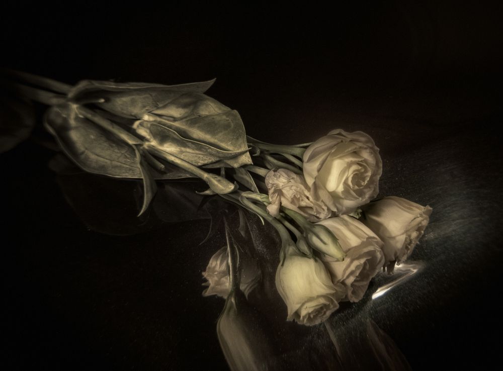 Photograph by Irina Grigoryeva