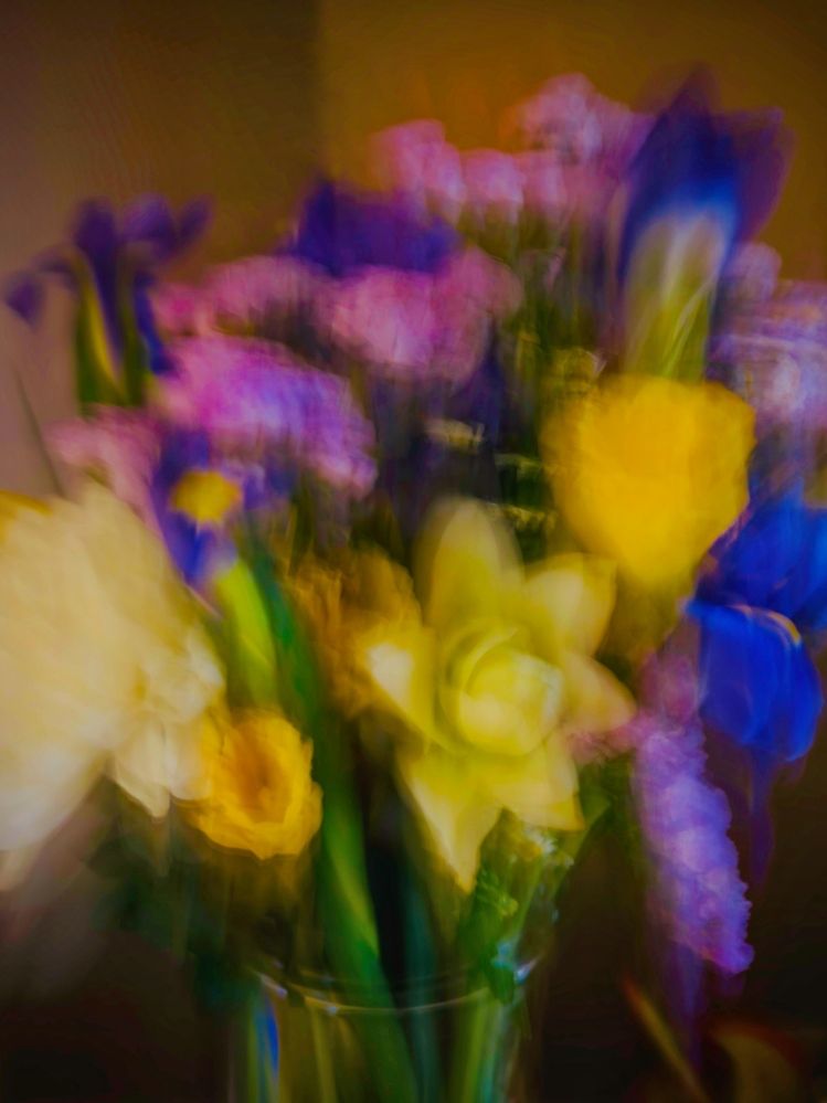 Фотография автора Alina Efimova