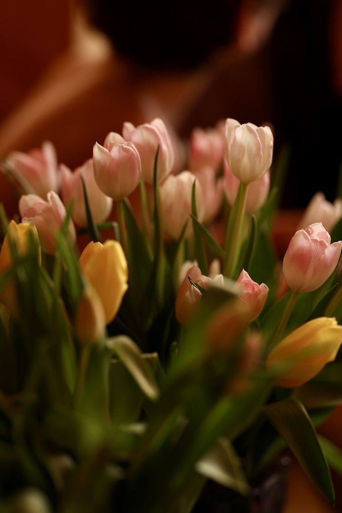 Фотография автора Alina Efimova