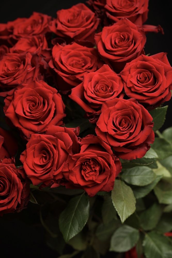 Фотография автора Alina Efimova