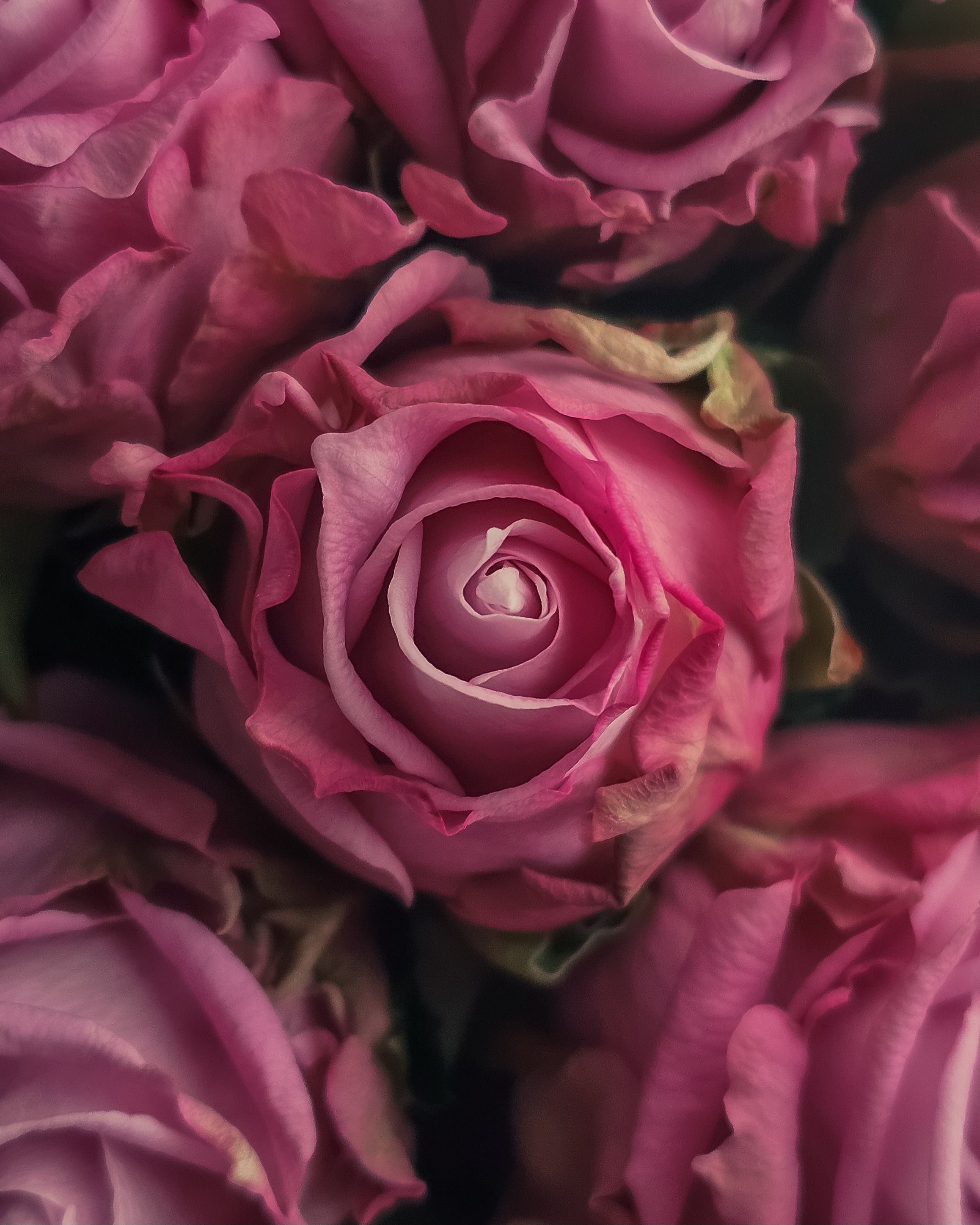 Photograph by Екатерина Сенько