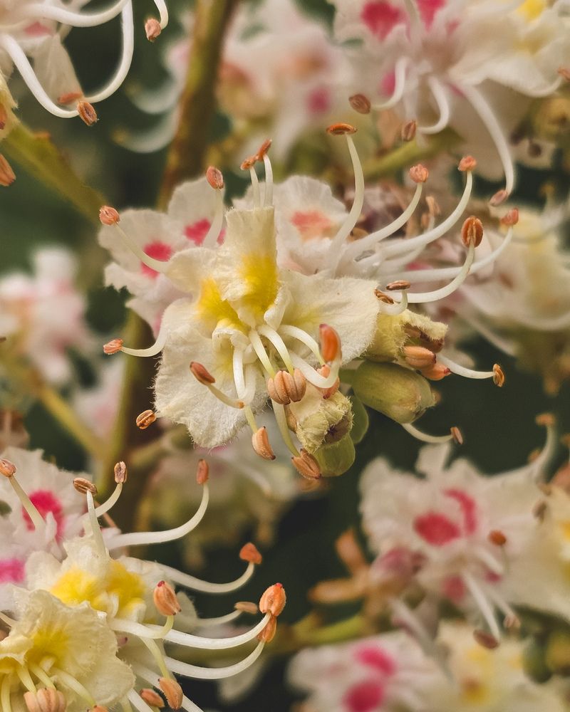 Photograph by Екатерина Сенько